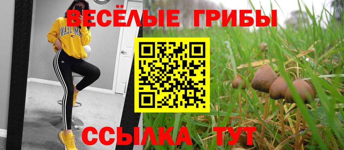 Галлюциногенные грибы мицелий  Галлюциногенные грибы GOLDEN TEACHER  Алейск  Вход с VPN 