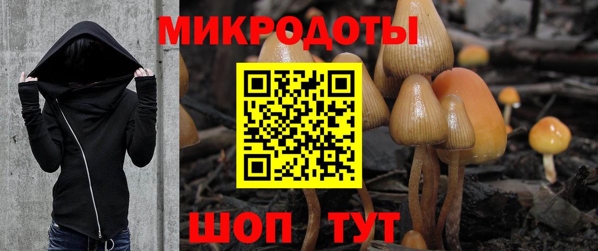 Галлюциногенные грибы ЛСД Алейск